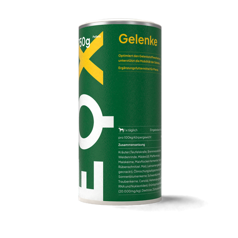 EQX Gelenke