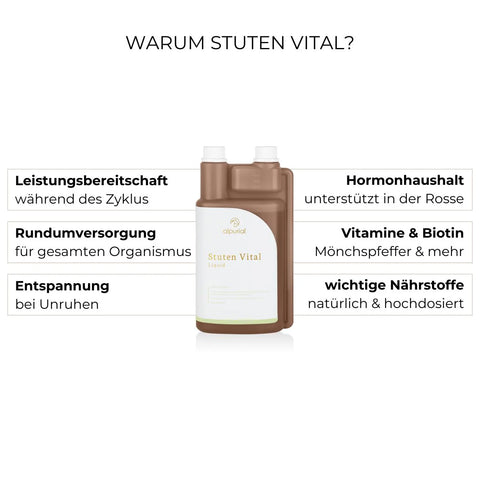 Stuten Vital